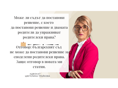 Вещото лице и споделеното родителство - какво казва ВКС?